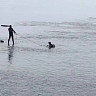 Саратовские спасатели вытащили из Волги тело 14-летнего подростка